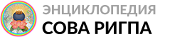 sorig.info